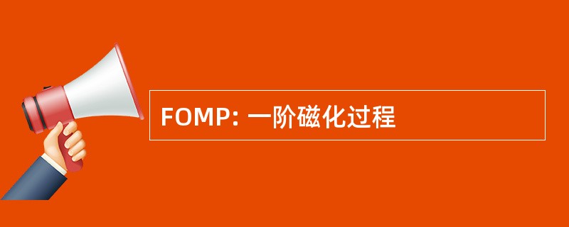 FOMP: 一阶磁化过程