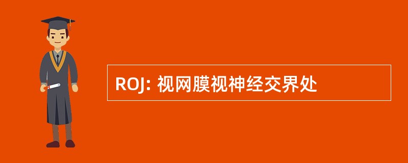 ROJ: 视网膜视神经交界处