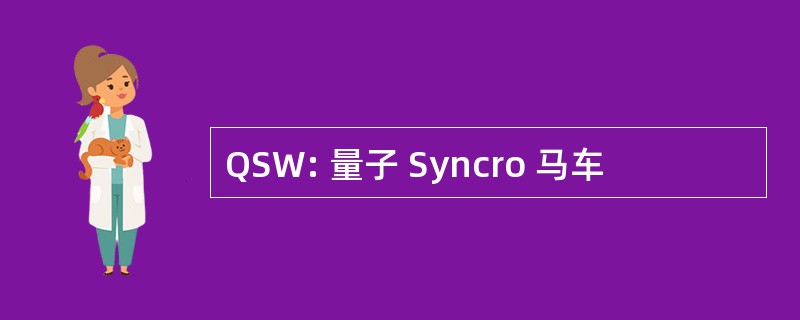 QSW: 量子 Syncro 马车