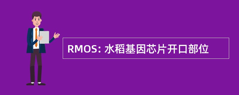 RMOS: 水稻基因芯片开口部位