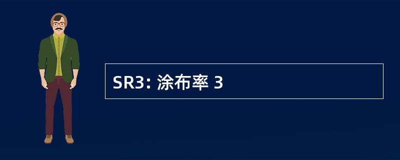 SR3: 涂布率 3