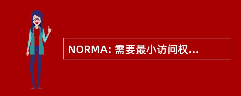 NORMA: 需要最小访问权限的网络操作