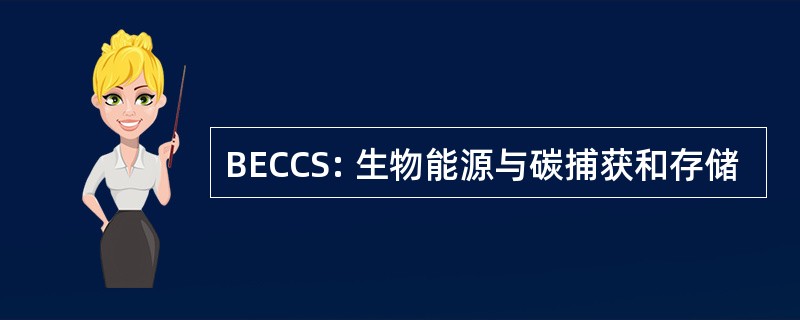 BECCS: 生物能源与碳捕获和存储