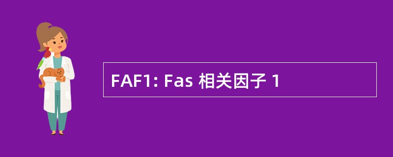 FAF1: Fas 相关因子 1