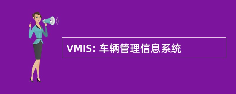 VMIS: 车辆管理信息系统