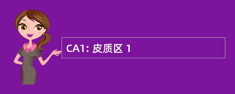 CA1: 皮质区 1