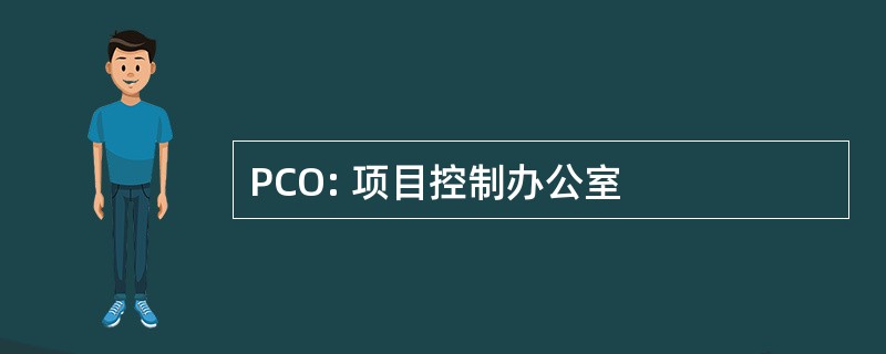 PCO: 项目控制办公室