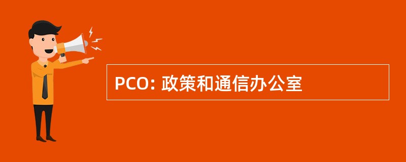 PCO: 政策和通信办公室