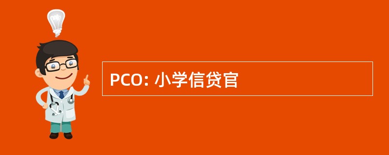 PCO: 小学信贷官