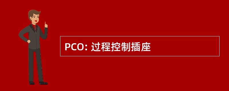 PCO: 过程控制插座