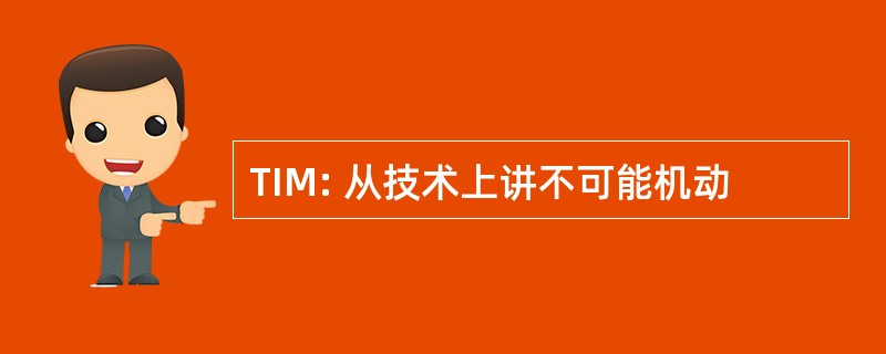 TIM: 从技术上讲不可能机动