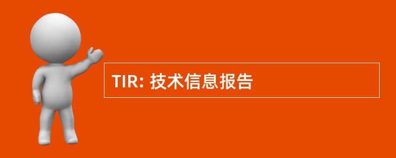 TIR: 技术信息报告