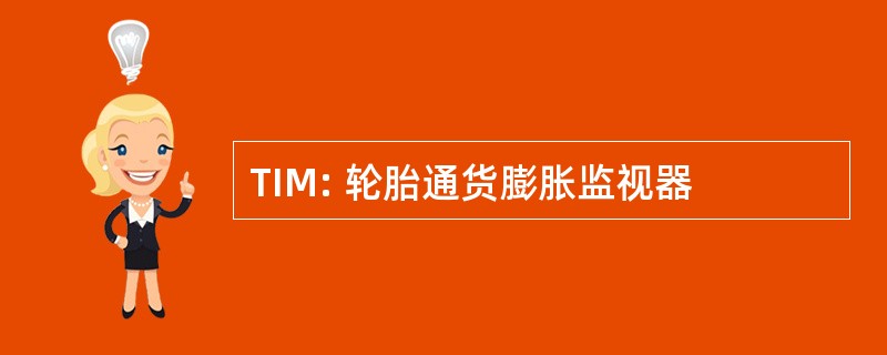 TIM: 轮胎通货膨胀监视器