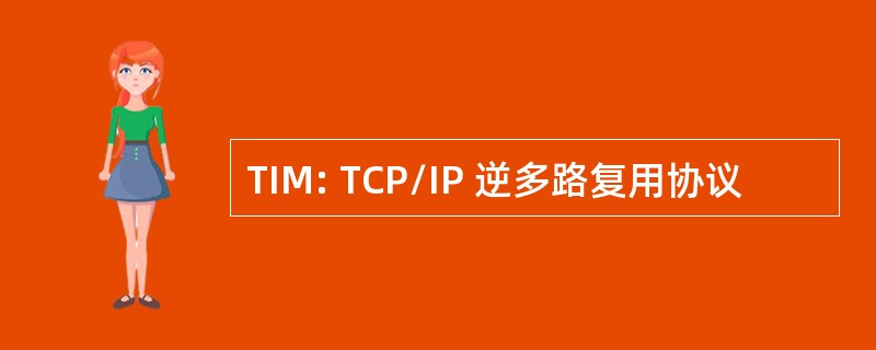 TIM: TCP/IP 逆多路复用协议