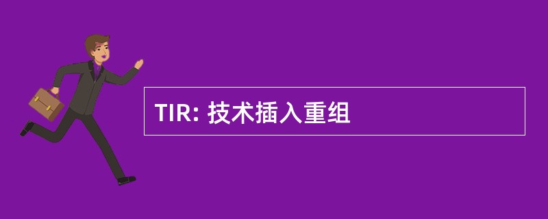 TIR: 技术插入重组