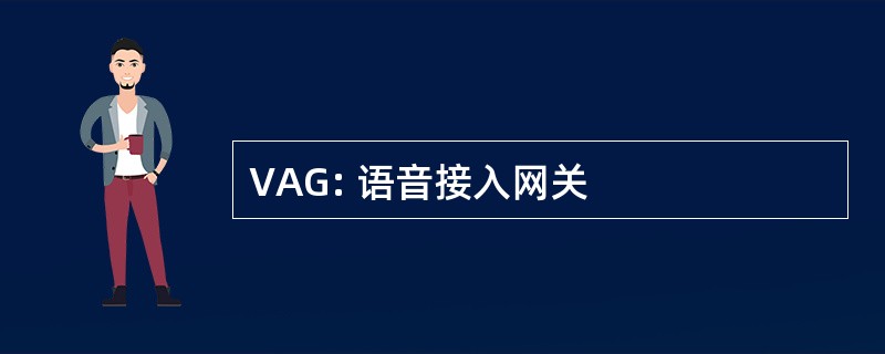 VAG: 语音接入网关