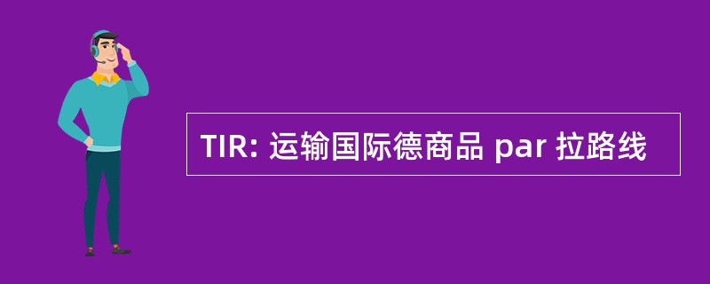 TIR: 运输国际德商品 par 拉路线