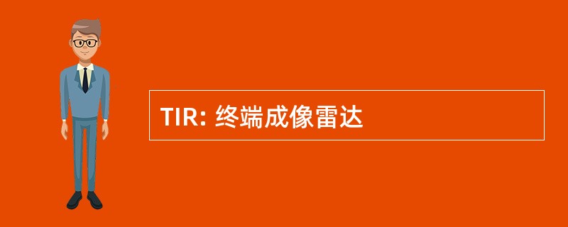 TIR: 终端成像雷达