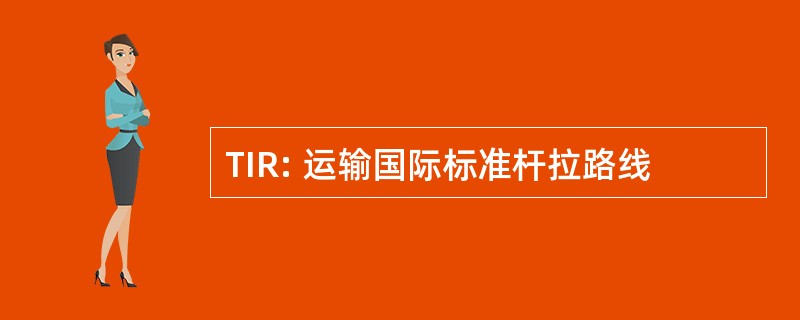 TIR: 运输国际标准杆拉路线