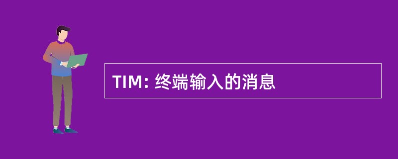 TIM: 终端输入的消息