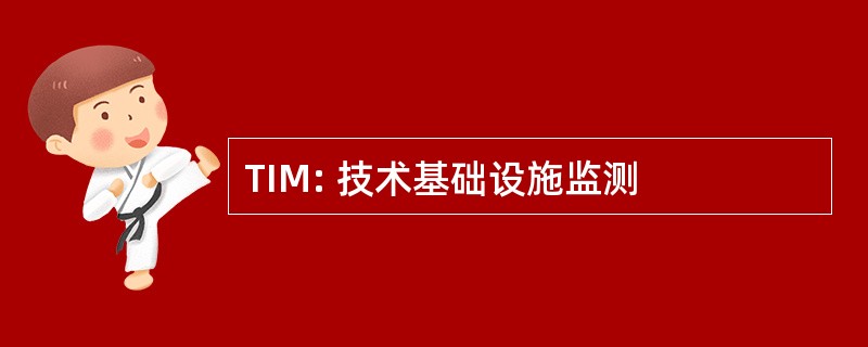 TIM: 技术基础设施监测