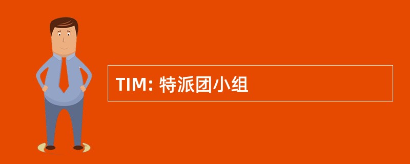 TIM: 特派团小组