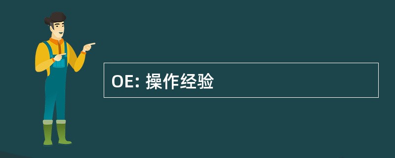 OE: 操作经验