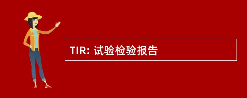 TIR: 试验检验报告