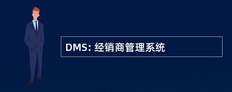 DMS: 经销商管理系统