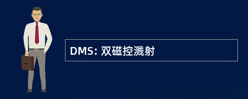 DMS: 双磁控溅射