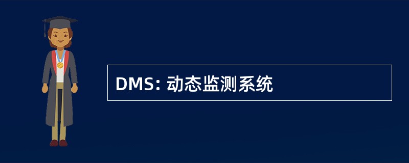 DMS: 动态监测系统