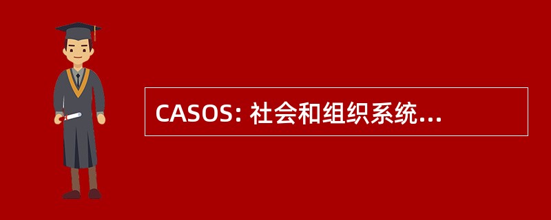 CASOS: 社会和组织系统的计算分析