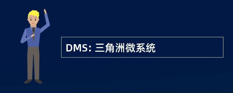 DMS: 三角洲微系统