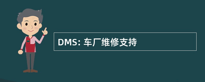 DMS: 车厂维修支持