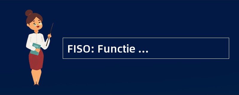 FISO: Functie Informatiesysteem Overheid