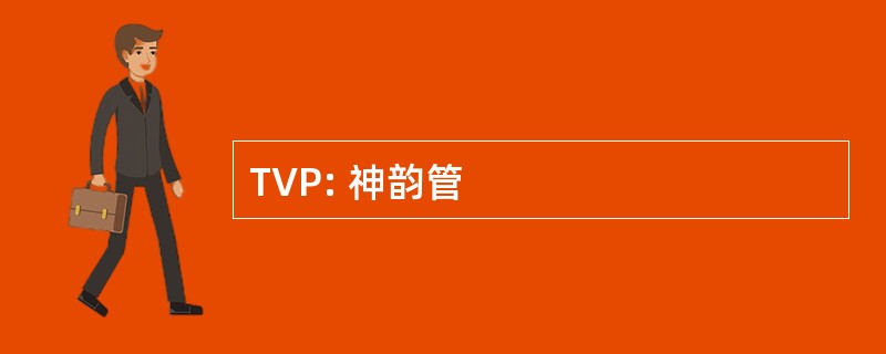 TVP: 神韵管