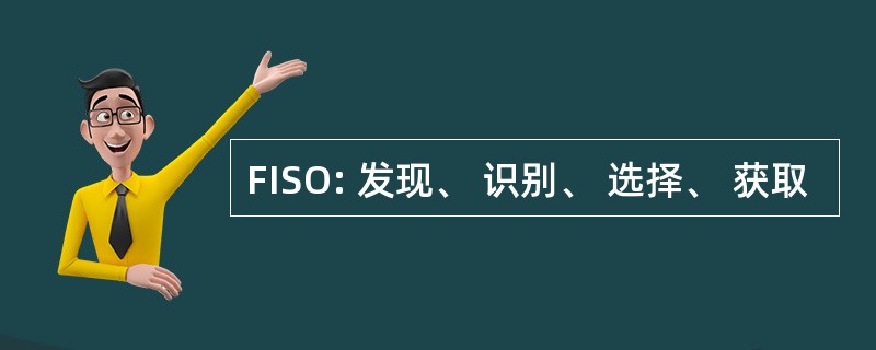 FISO: 发现、 识别、 选择、 获取