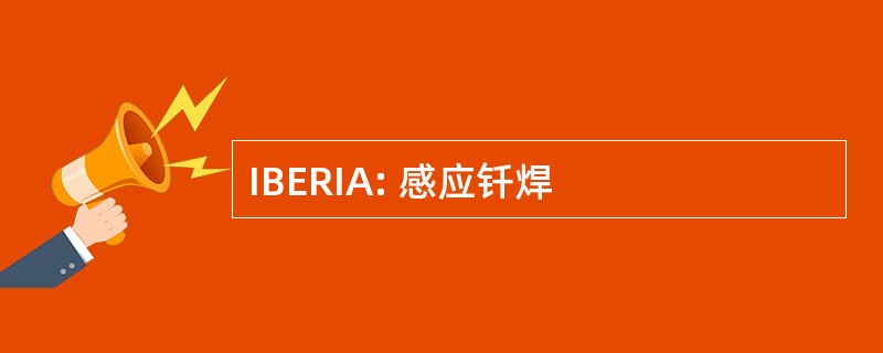 IBERIA: 感应钎焊