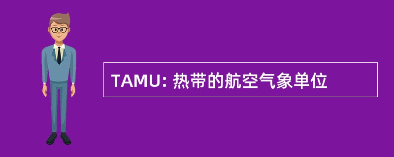 TAMU: 热带的航空气象单位