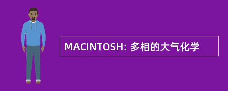 MACINTOSH: 多相的大气化学