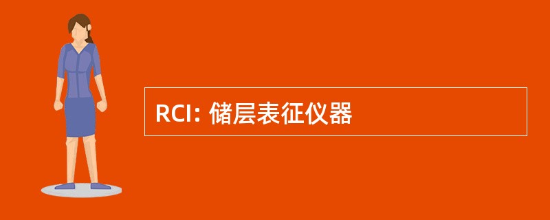 RCI: 储层表征仪器