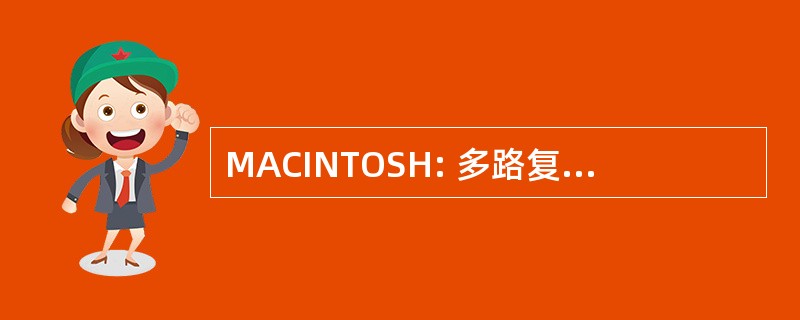 MACINTOSH: 多路复用的模拟组件