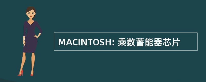 MACINTOSH: 乘数蓄能器芯片