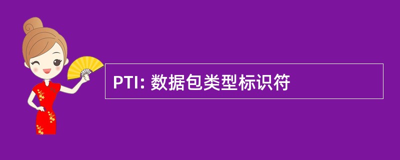 PTI: 数据包类型标识符