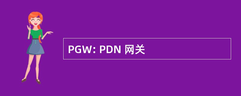 PGW: PDN 网关