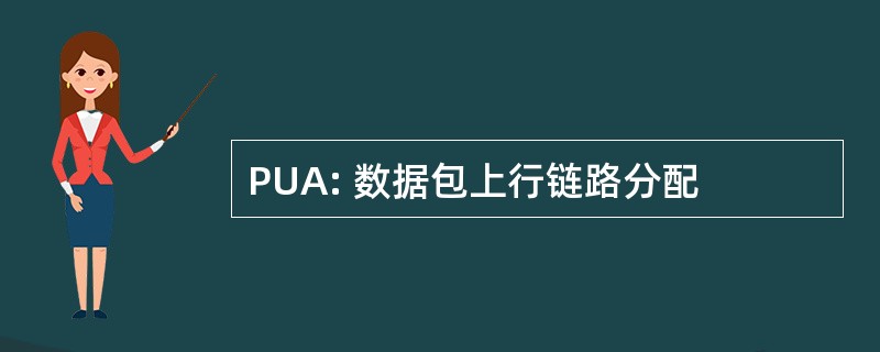 PUA: 数据包上行链路分配