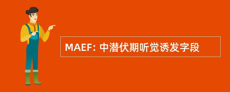 MAEF: 中潜伏期听觉诱发字段