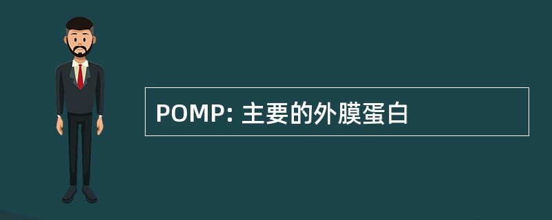 POMP: 主要的外膜蛋白