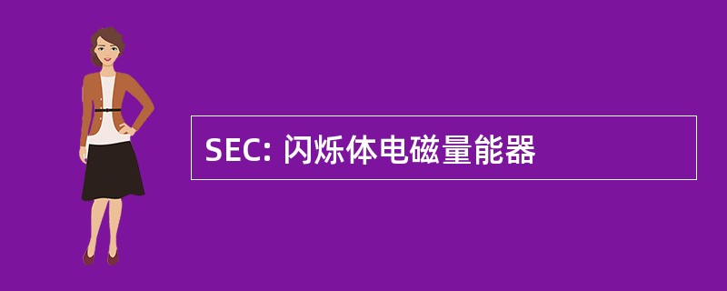 SEC: 闪烁体电磁量能器