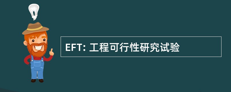 EFT: 工程可行性研究试验